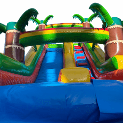 A130DED1 226C 44CB B0E3 12B840B6A7AC 1715138005 ALOHA Waterslide 15ft